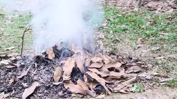在农场里燃烧枯叶时燃烧的白烟和火视频的预览图