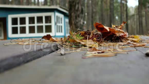 枯叶落在木屋背景下的桌子上小屋风格的森林生活视频的预览图