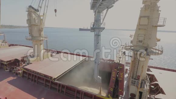 将小麦装入货船海运这艘船在港口装载小麦小麦出口海洋视频的预览图