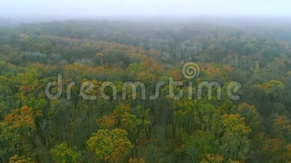 秋天的乡村空中景色朦胧的森林天际线视频的预览图