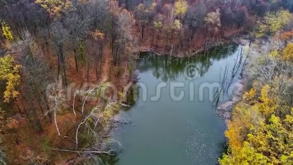 秋天的大自然无人驾驶的景色淹没了森林视频的预览图