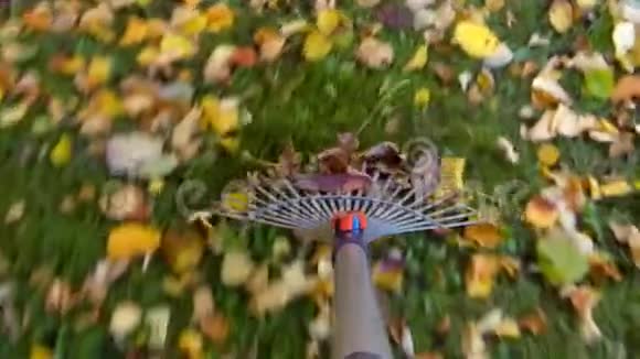 秋天在花园里落叶视频的预览图