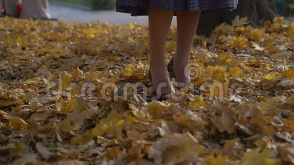 优雅优雅的女腿在落叶中昂首阔步黄色的秋天枫叶穿高跟鞋的女人视频的预览图