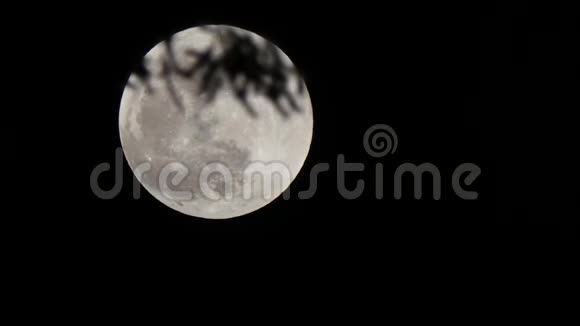 夜晚满月的超级月顶上的暗枝视频的预览图