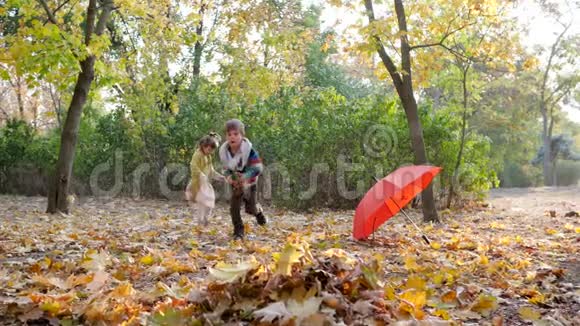 秋天孩子们在公园的树和红伞上把黄色的落叶堆起来视频的预览图
