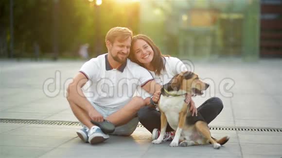 户外爱情情侣肖像欣赏夏日夕阳与比格狗坐在城市广场视频的预览图