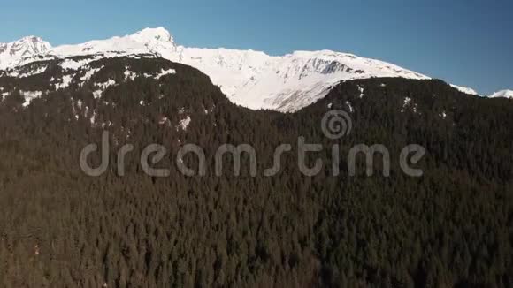 阿拉斯加风景优美的山顶视频的预览图