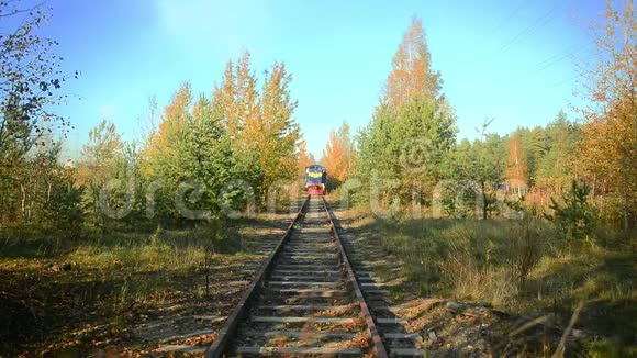 秋天森林中即将到来的火车头的景色视频的预览图