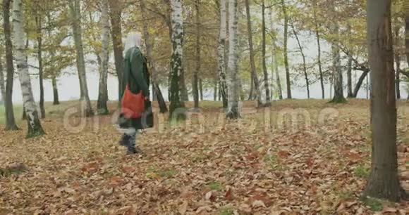 很长一段时间白人金发女人斯洛莫穿过秋天的树林跟着边框真正的年轻人讲故事视频的预览图