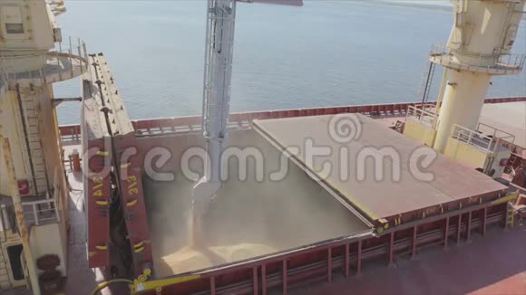 将谷物装入货船用于海运这艘船在港口装载小麦小麦出口海洋视频的预览图