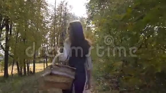美丽的黑发女孩走过秋天的树林拿着一个野餐篮晴天4Ksteatam视频视频的预览图