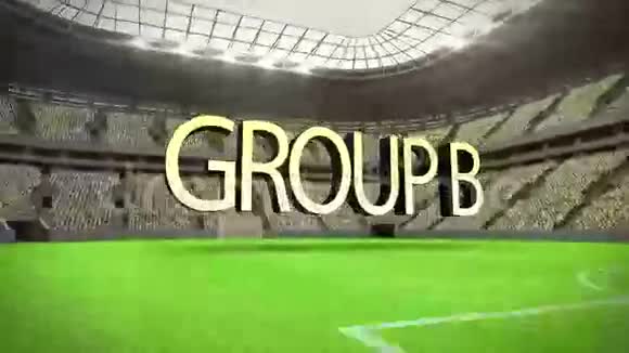 乙组世界杯动画视频的预览图