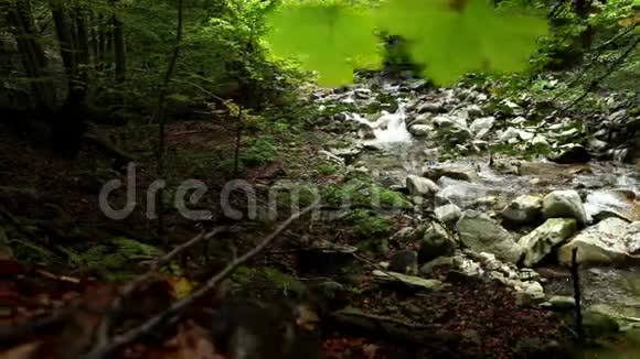 秋天森林中一条山溪的壮丽景色视频的预览图