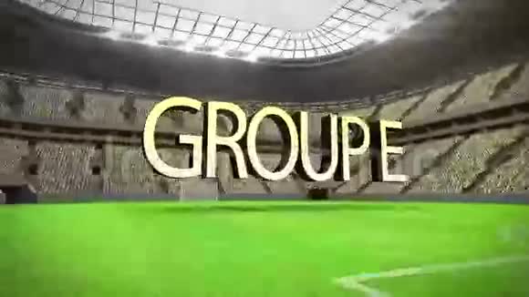 组E世界杯动画视频的预览图