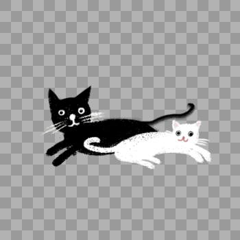 黑猫和白猫图片素材免费下载
