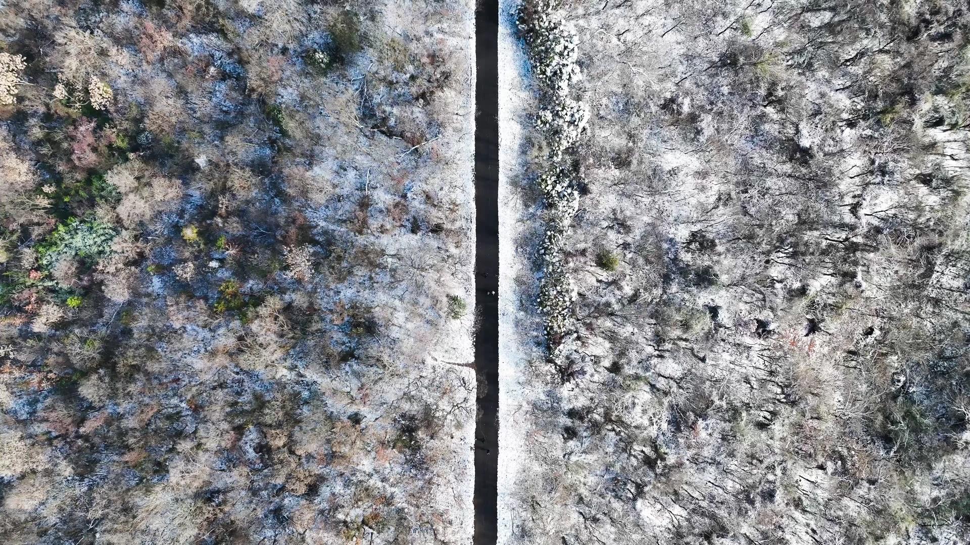 冬季雪景森林雪景4K航拍视频的预览图