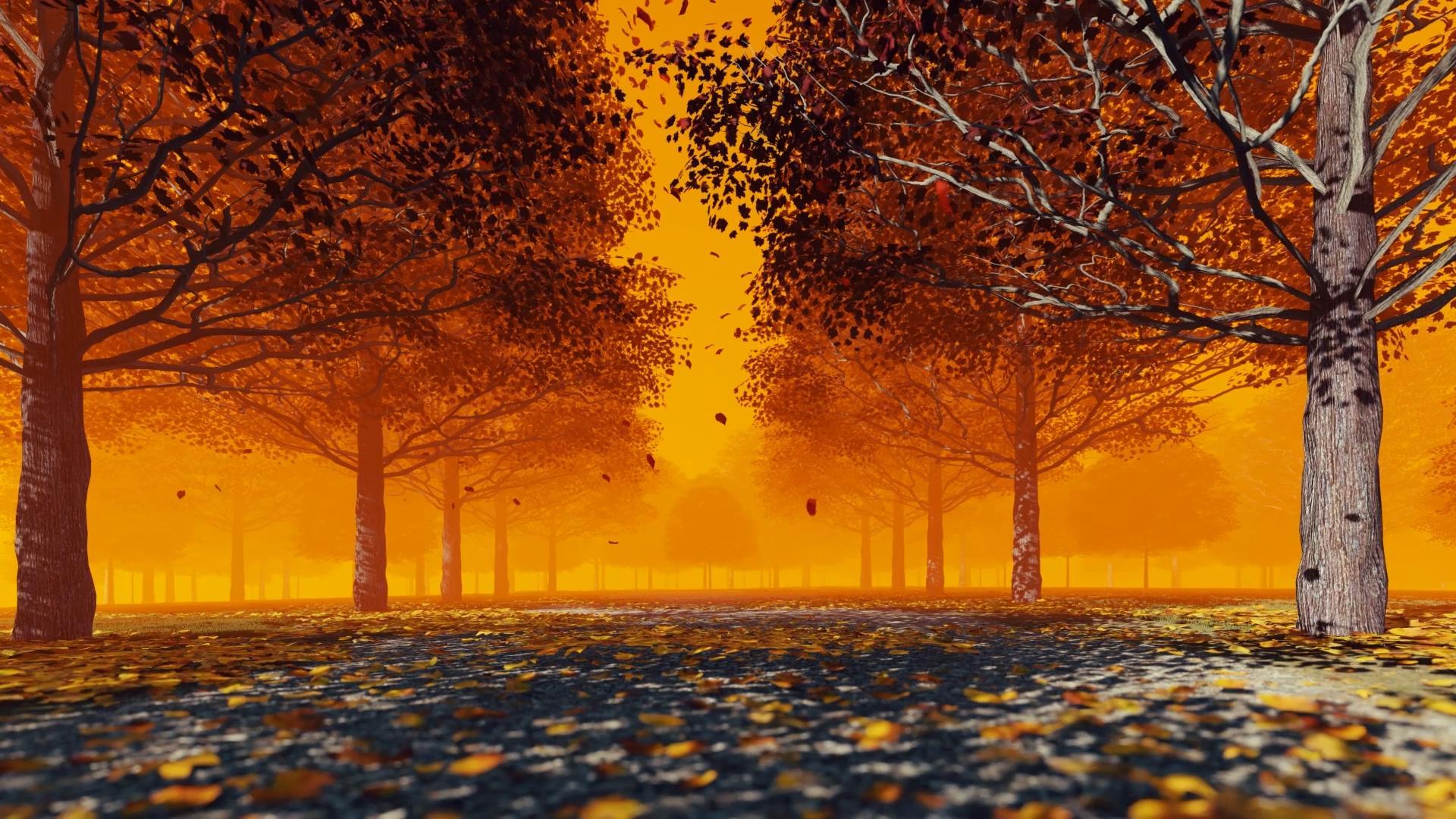 秋天背景视频的预览图