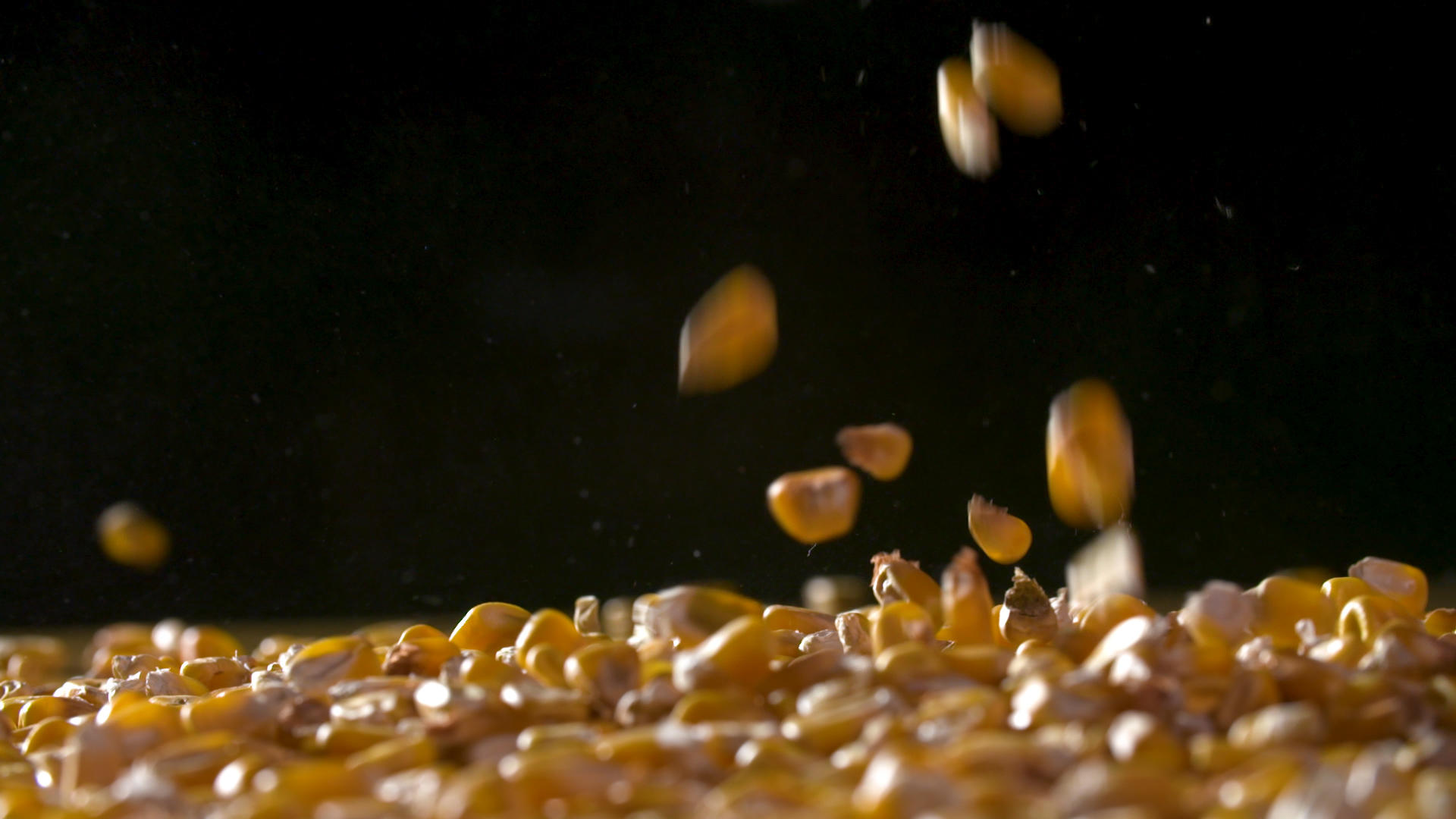 玉米粒掉落高速摄影视频的预览图