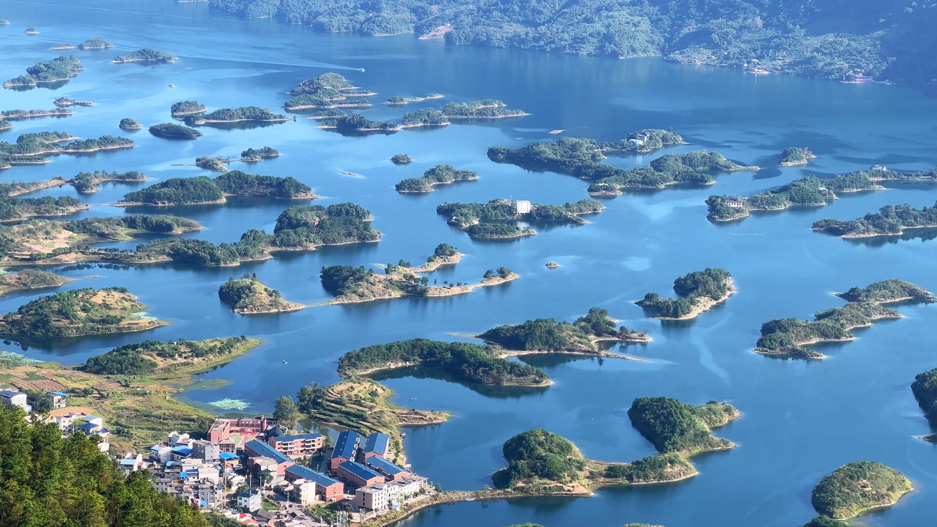 湖北4A级景区仙岛湖生态环境小岛旅游度假4k素材视频的预览图