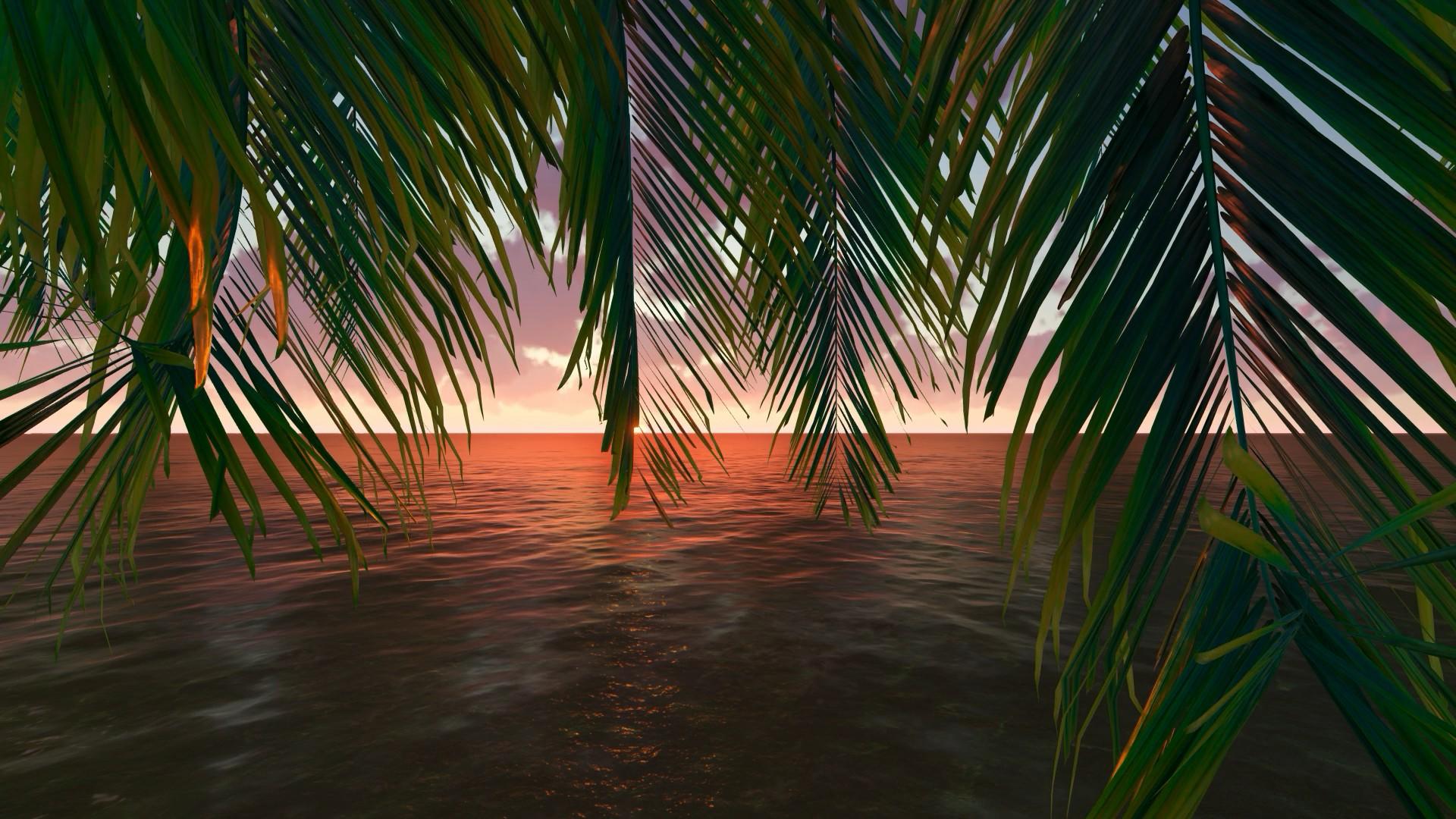 高清唯美黄昏椰子树视频的预览图