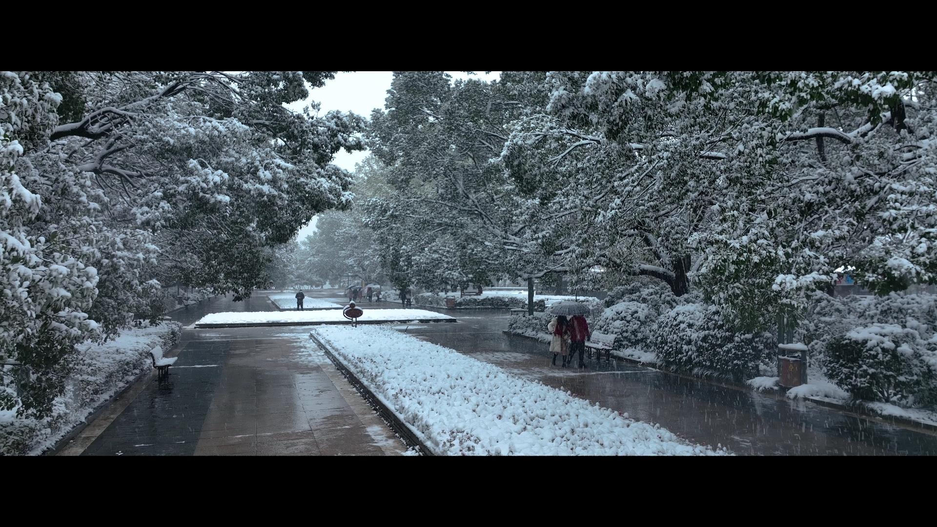 雪景下雪人物散步视频的预览图