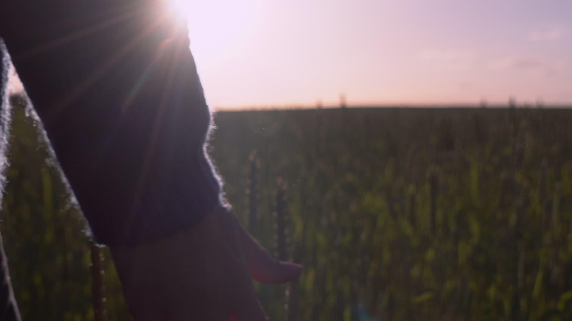 日落时穿过草原的女性视频的预览图