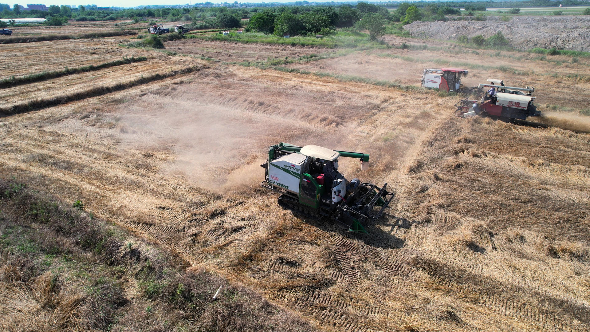 4K航拍农民在麦田收割麦子收割机视频的预览图