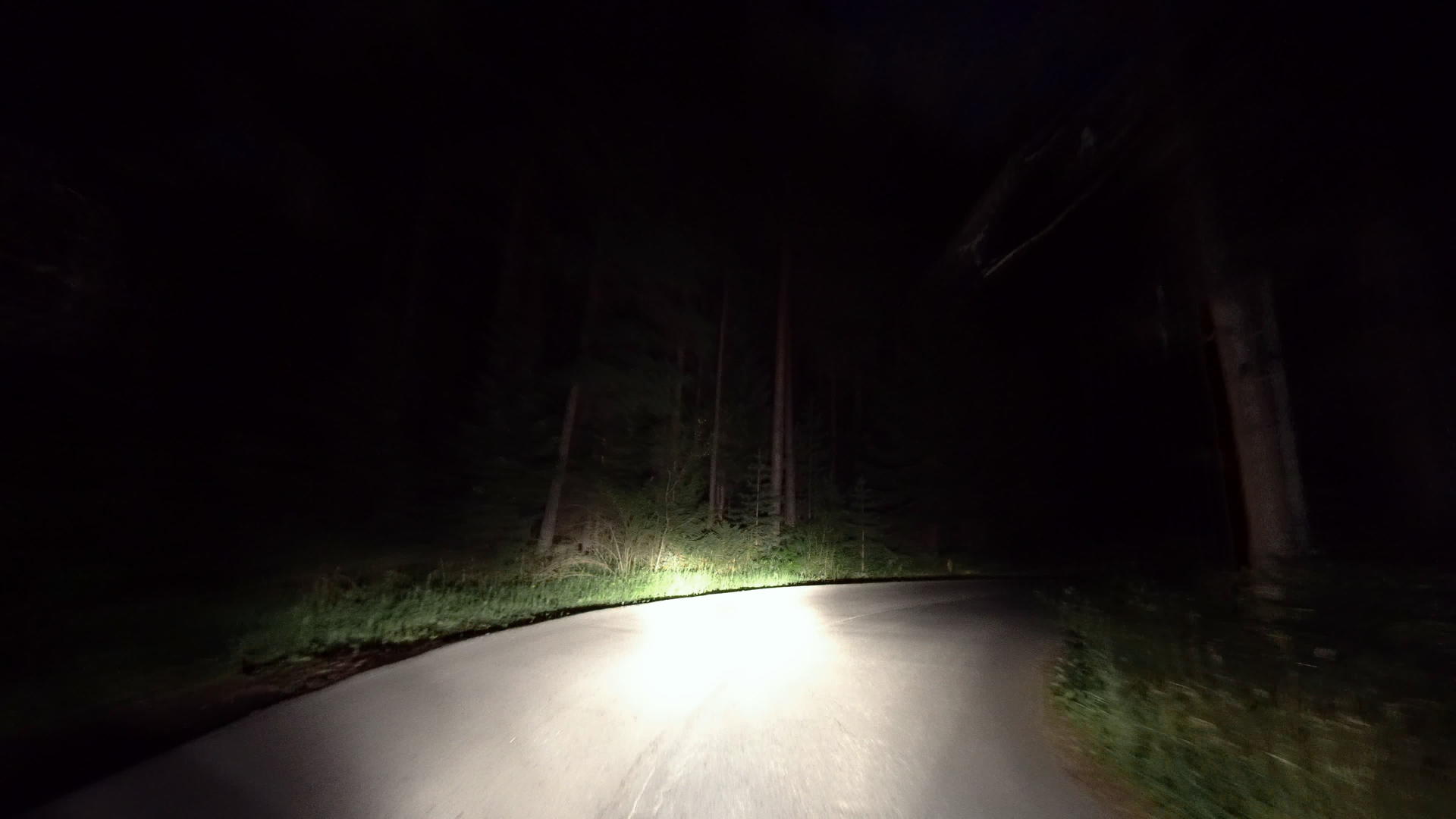 黑暗森林中的深夜道路驱动汽车视频的预览图