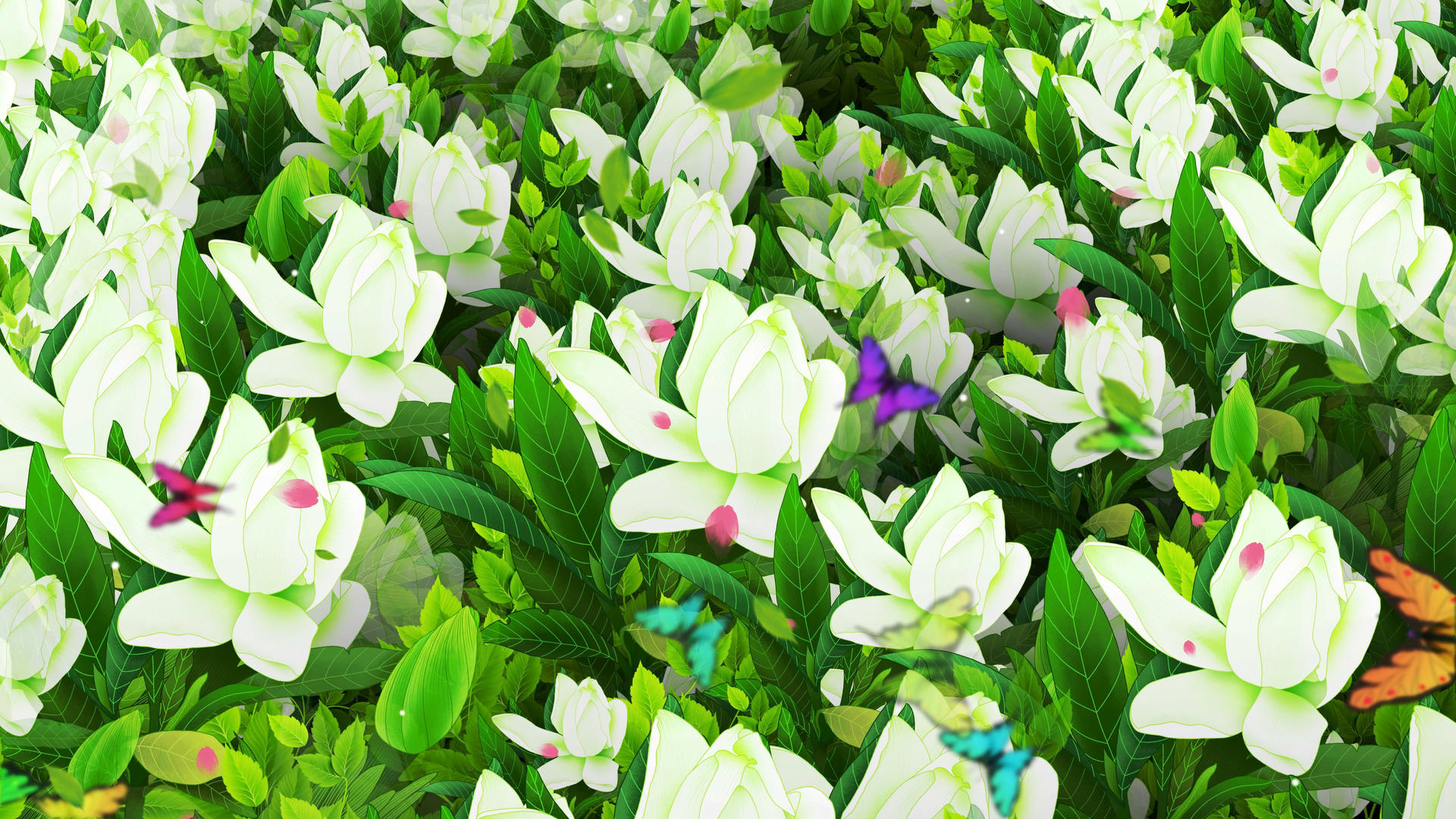 4K唯美清新的栀子花背景素材视频的预览图
