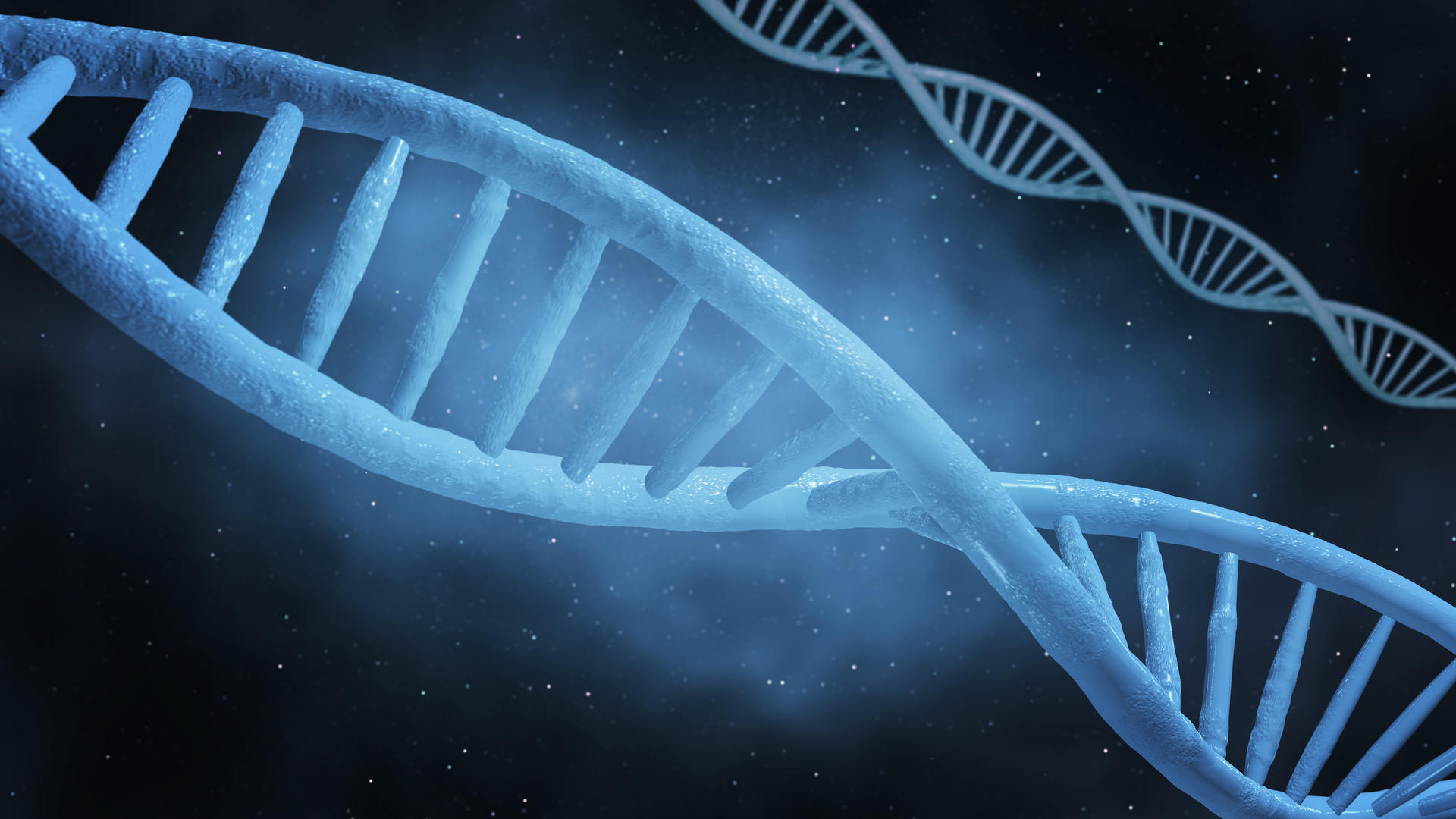 动画的DNA结构组合视频的预览图