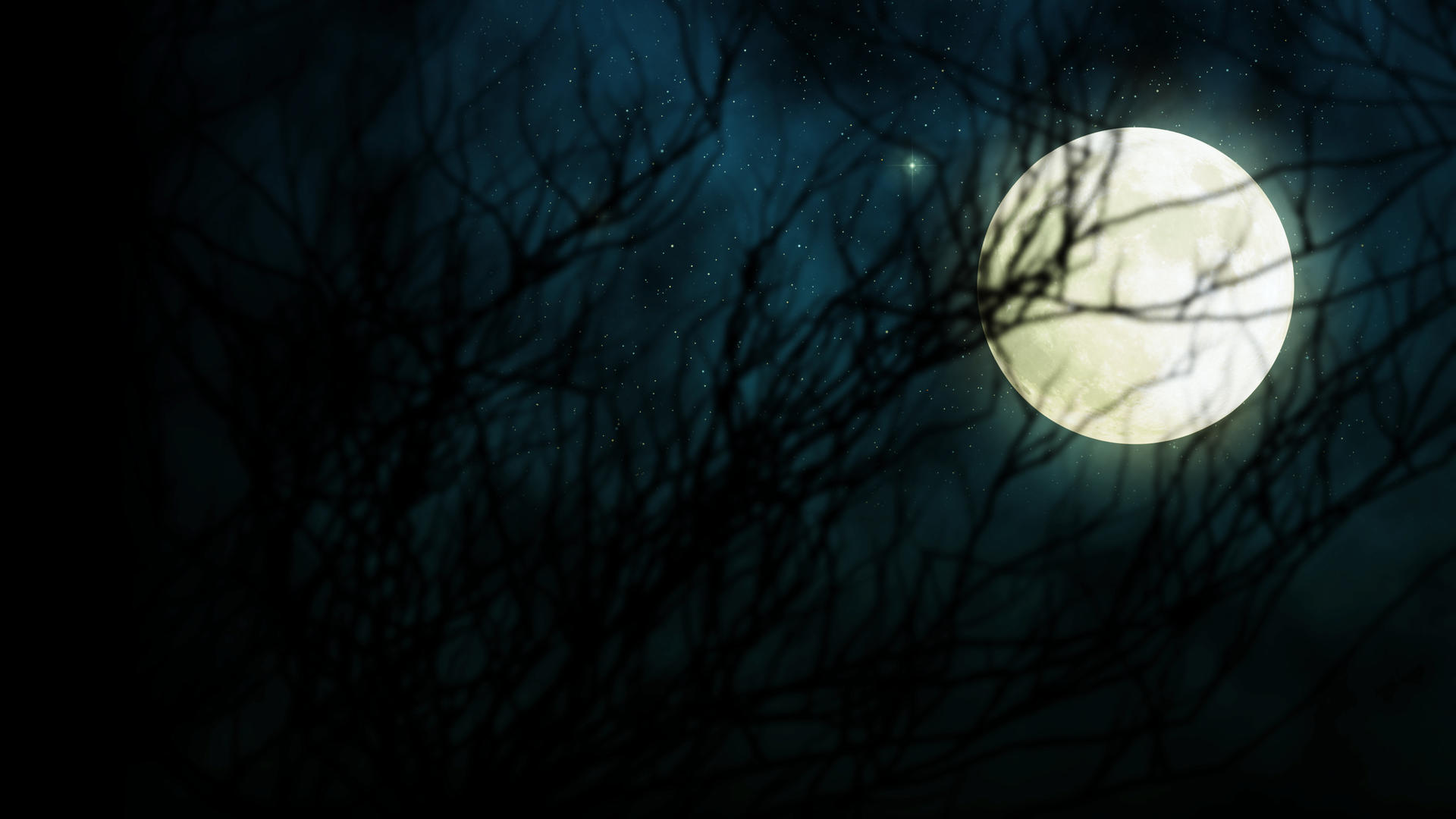 枯树明月夜色背景视频的预览图