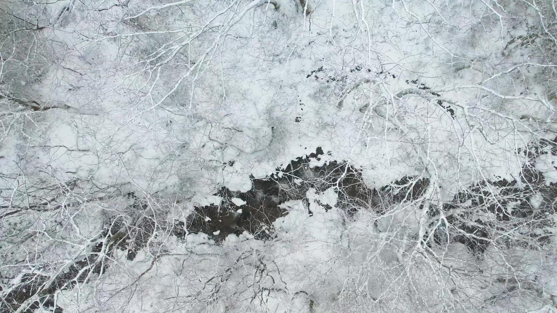 4K冬季雪花覆盖树枝河流流淌拍摄视频拍摄视频视频的预览图