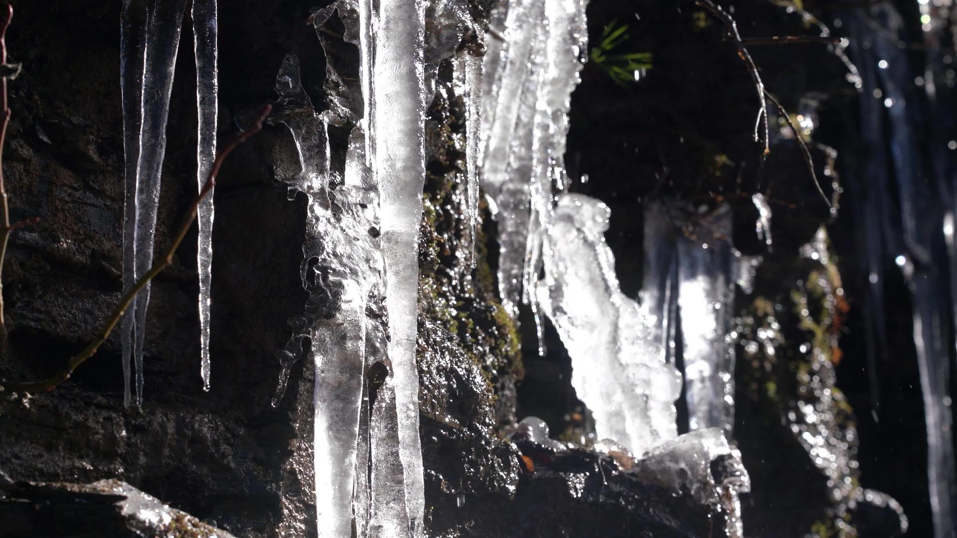 4K冬季冰柱融化成水滴实拍视频视频的预览图