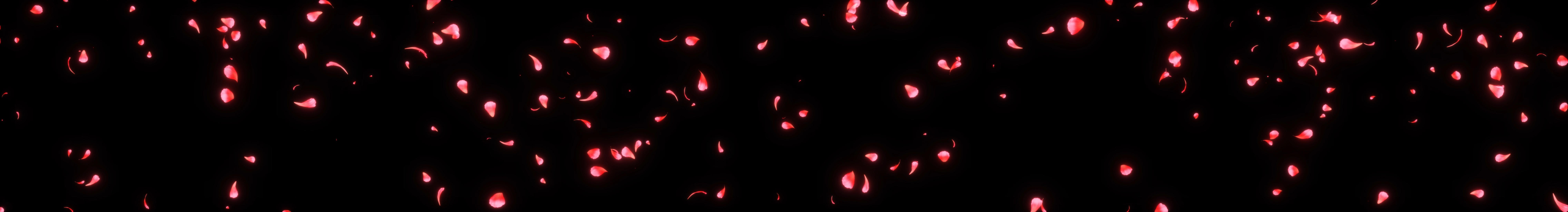超宽屏LED花瓣飘落唯美背景视频的预览图