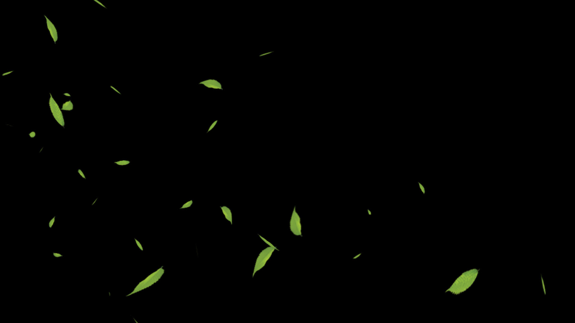 树叶飘落带透明通道视频的预览图