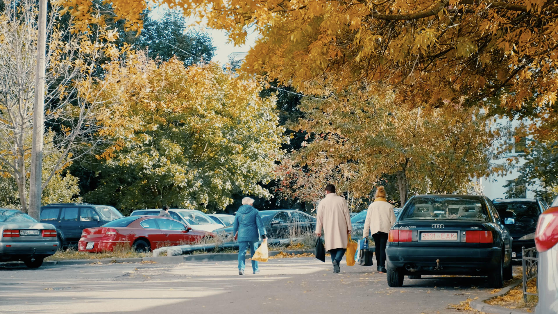 深秋户外漫步散步的老人背影视频的预览图