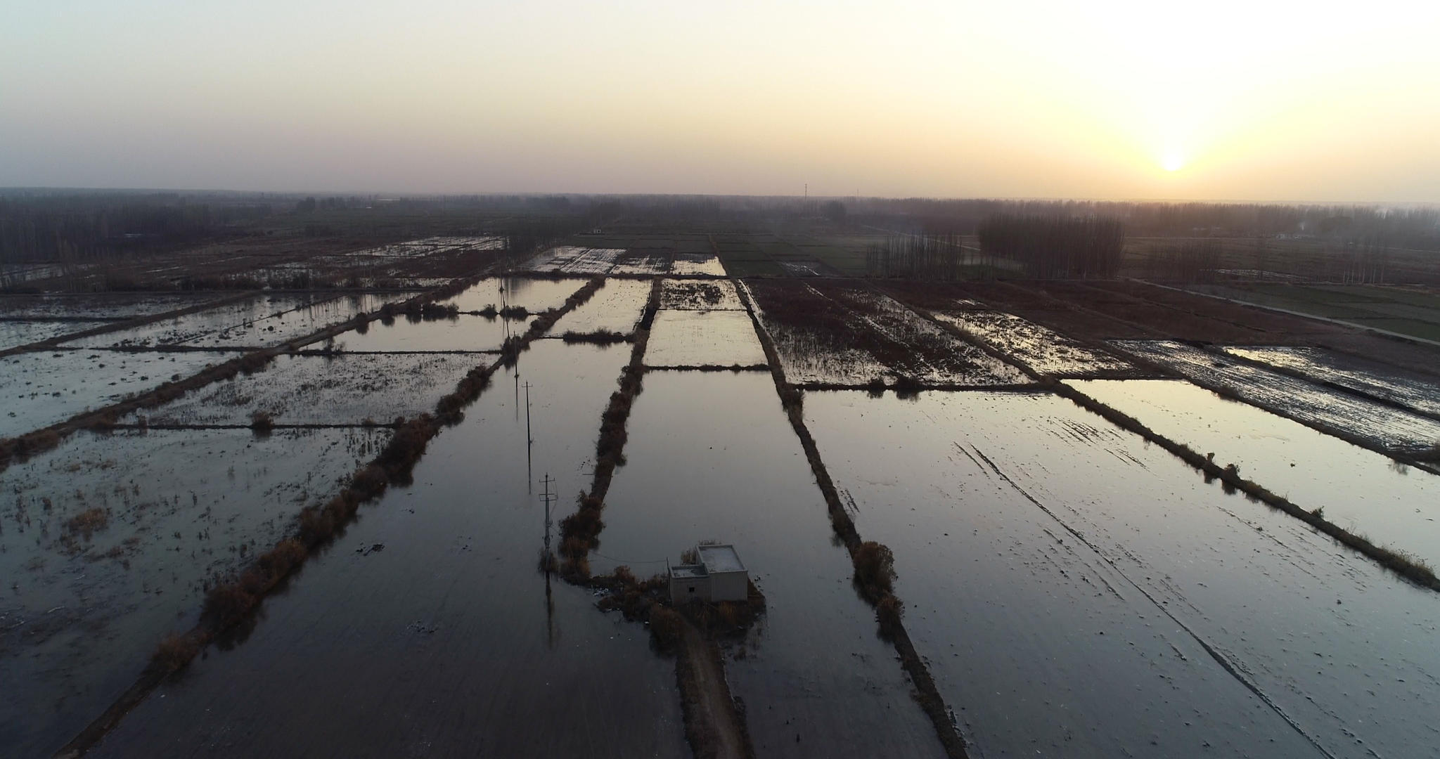 夕阳下的水田农业航拍视频的预览图