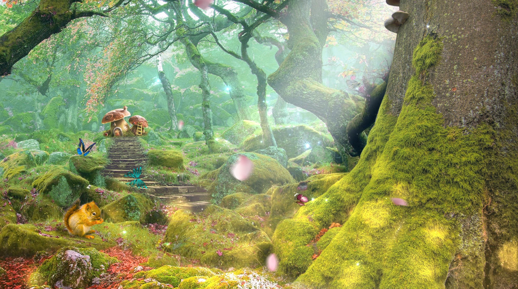 梦幻森林动画合成背景视频的预览图