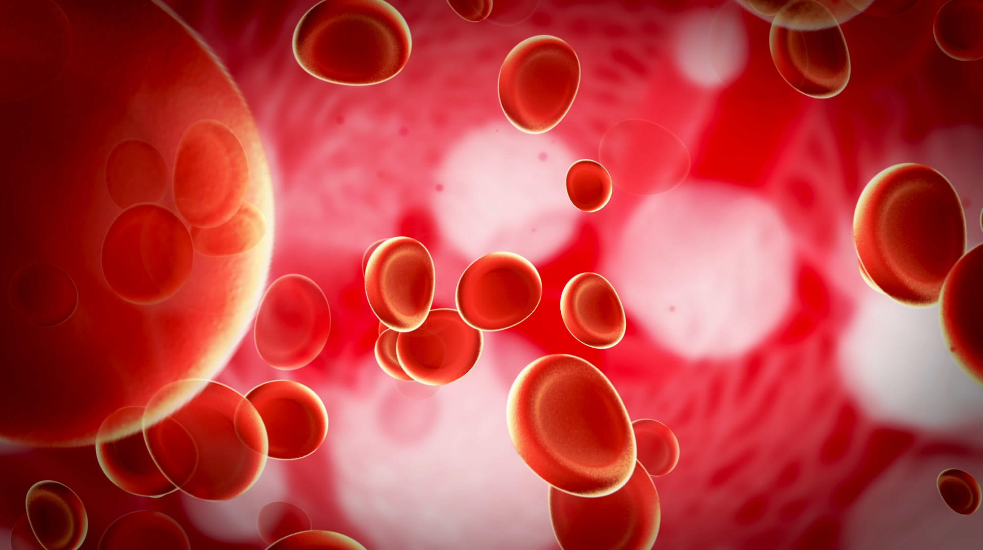 血液红细胞背景视频素材视频的预览图