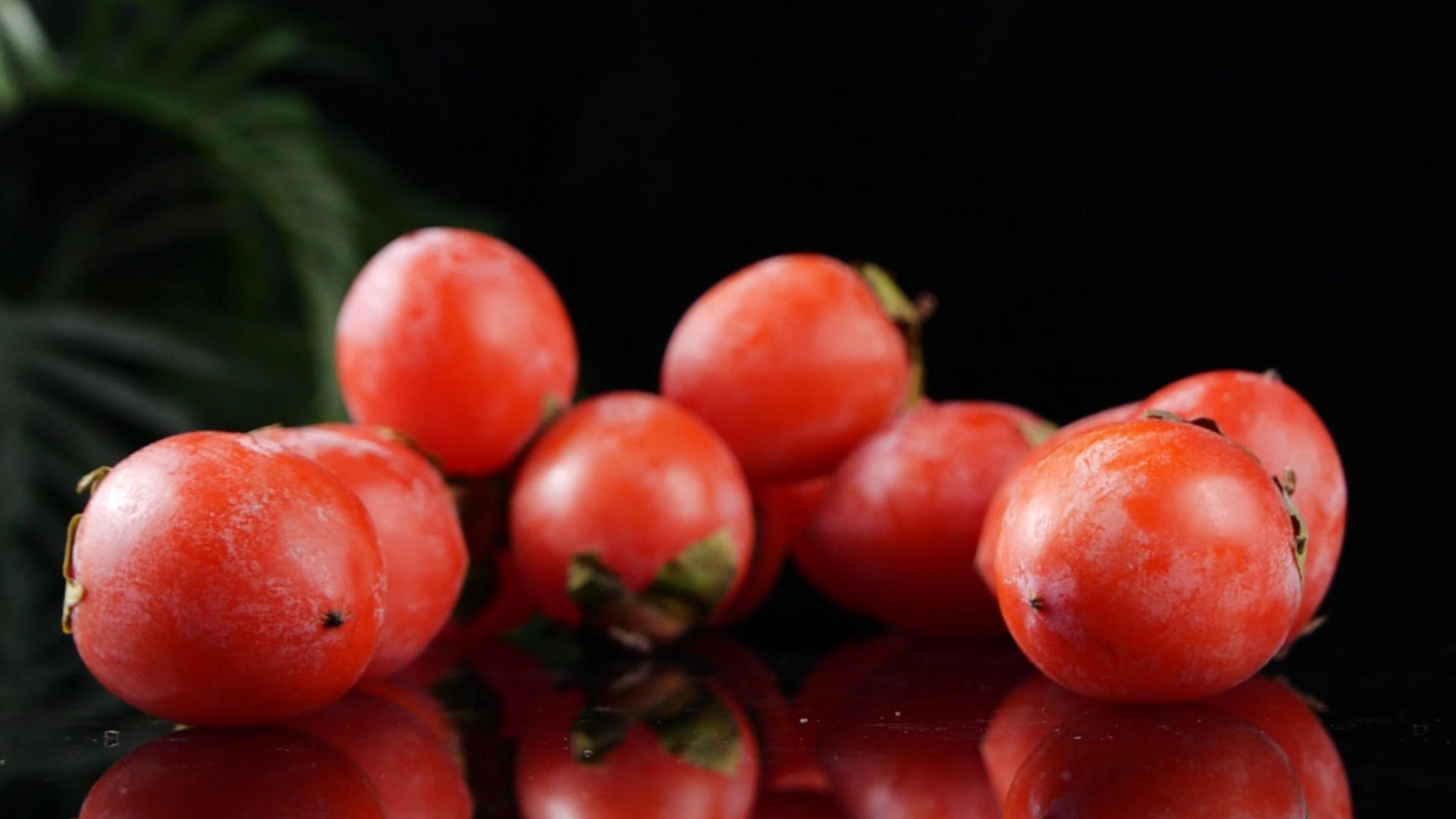 升格小柿子圆柿子野生柿子新鲜水果视频的预览图