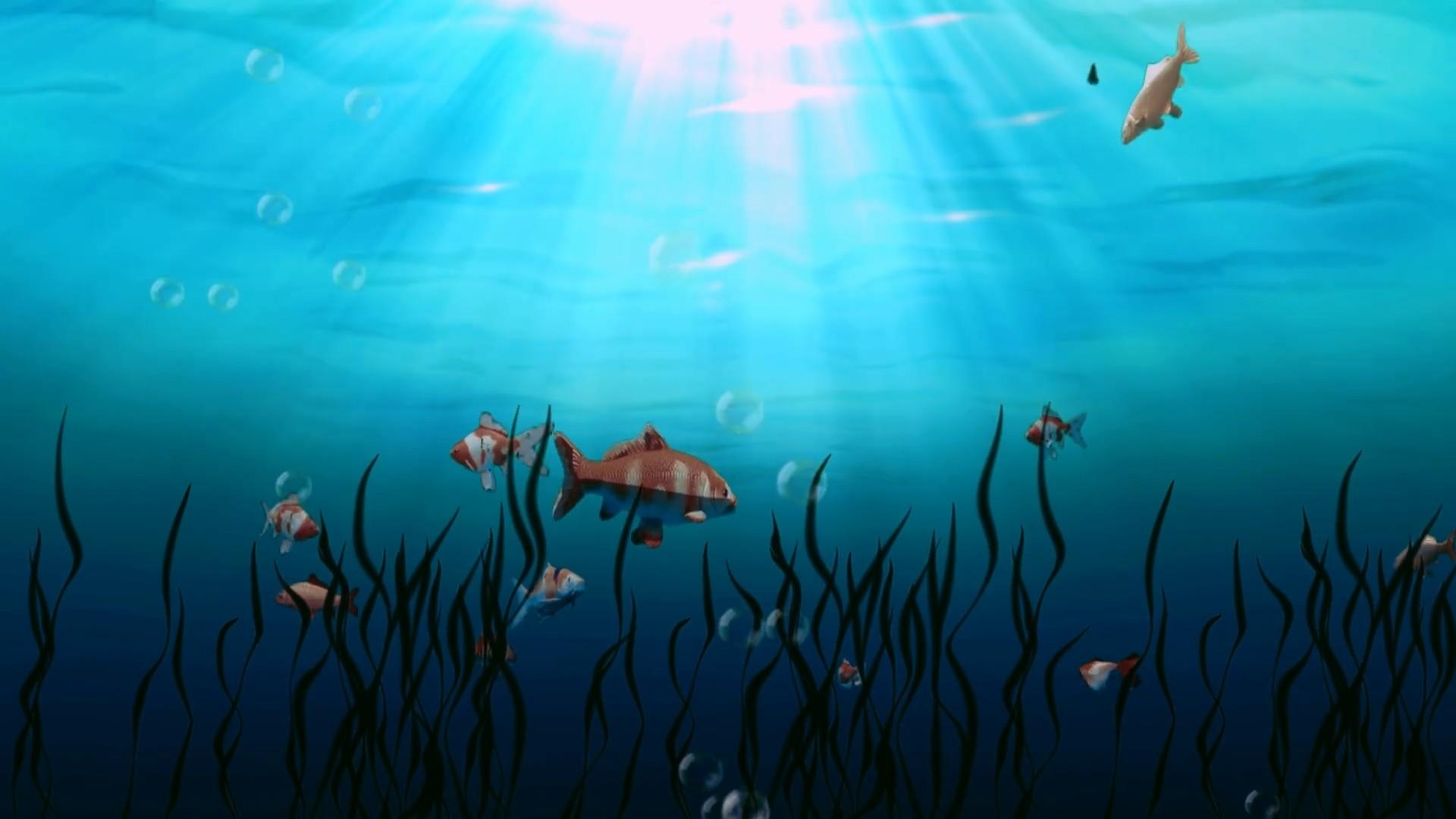 唯美海底世界鱼群游动海草背景视频的预览图