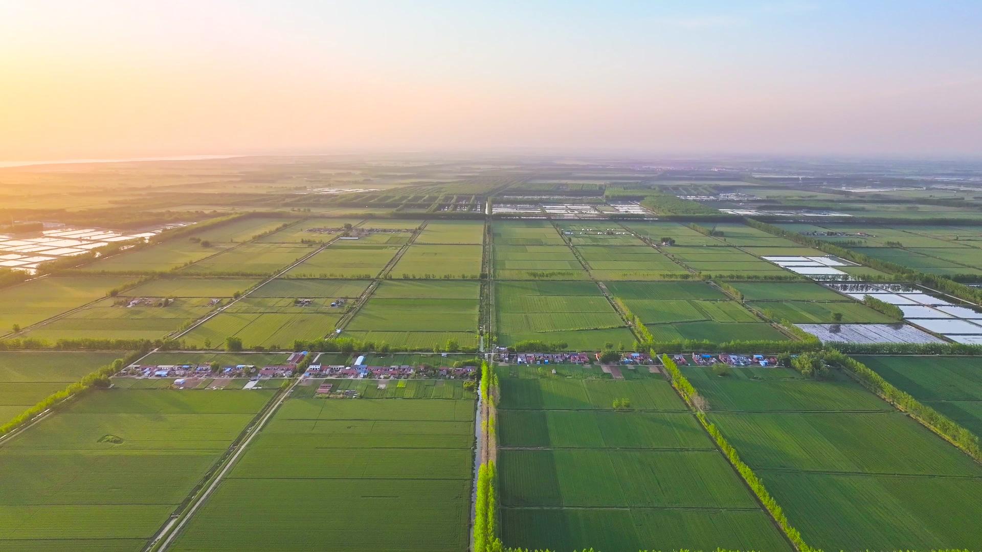 4K航拍大片麦田美丽乡村农田农田视频的预览图