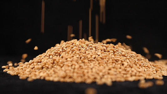 小麦种子落下高速摄影原始素材视频的预览图