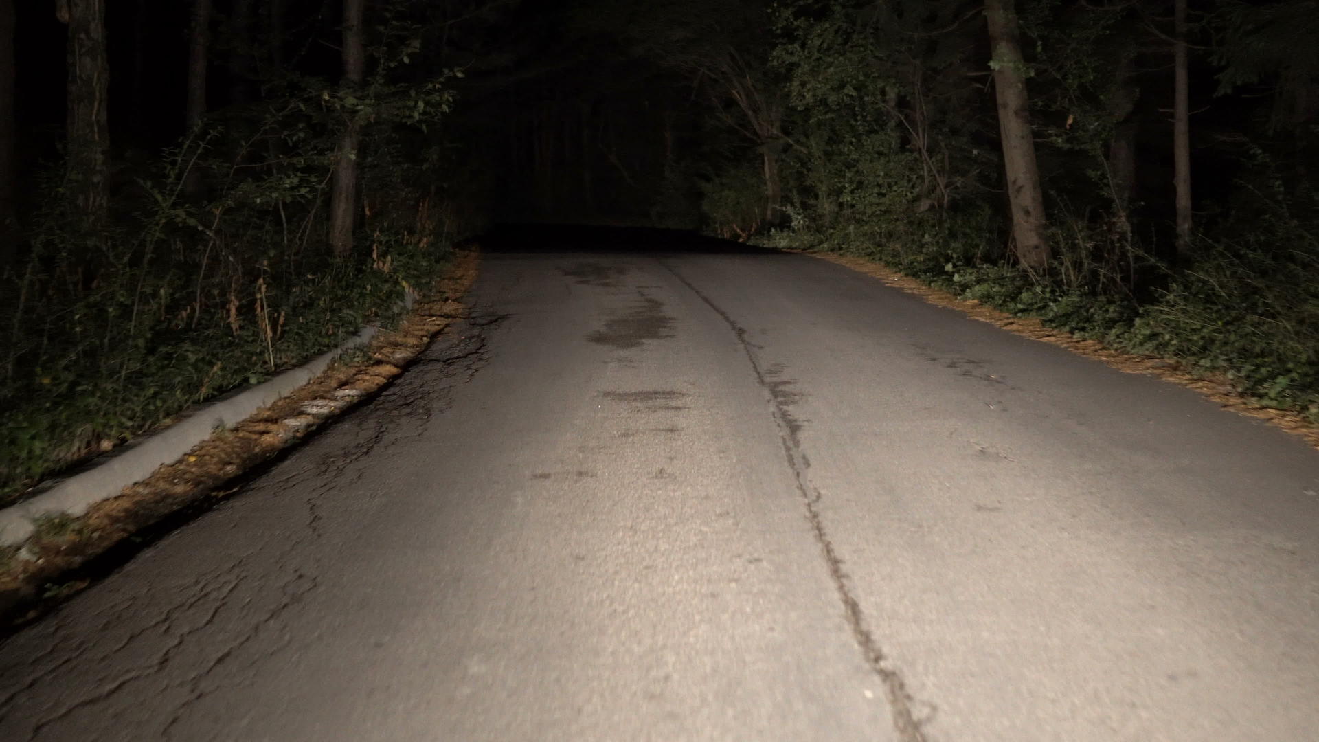 晚上 在农村道路上开车穿过森林 第一个视角视频的预览图