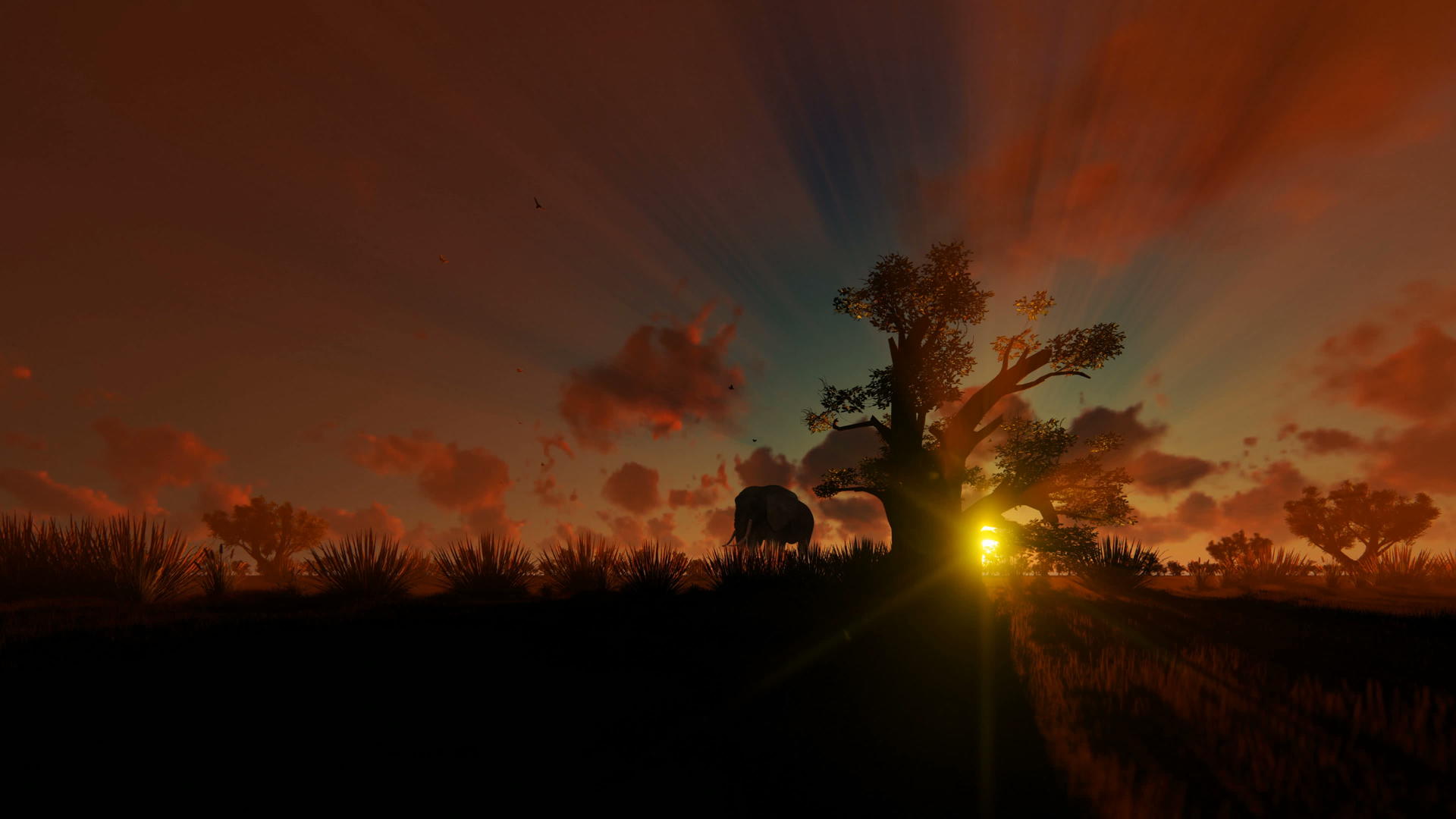 非洲大象与babobaba一起走对抗美丽的日落视频的预览图
