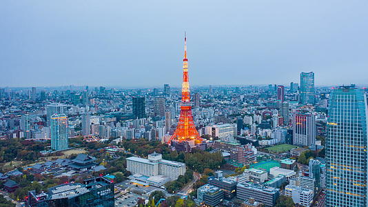 东京塔楼建于日本东京视频的预览图