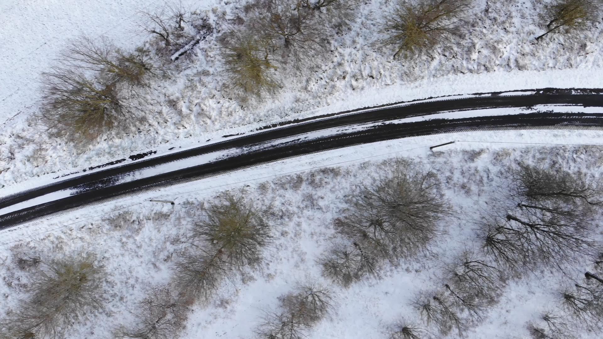 冬天农村道路附近的雪松树林结冰的树干视频的预览图