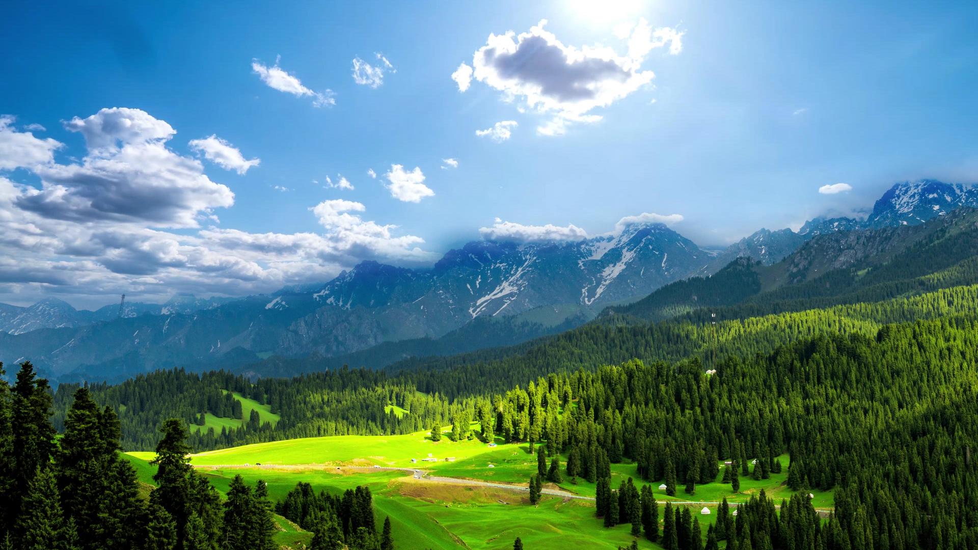 新疆天山下的草原唯美风景视频的预览图