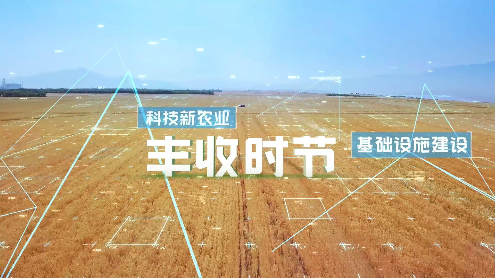 农业科技数字建设模板视频的预览图