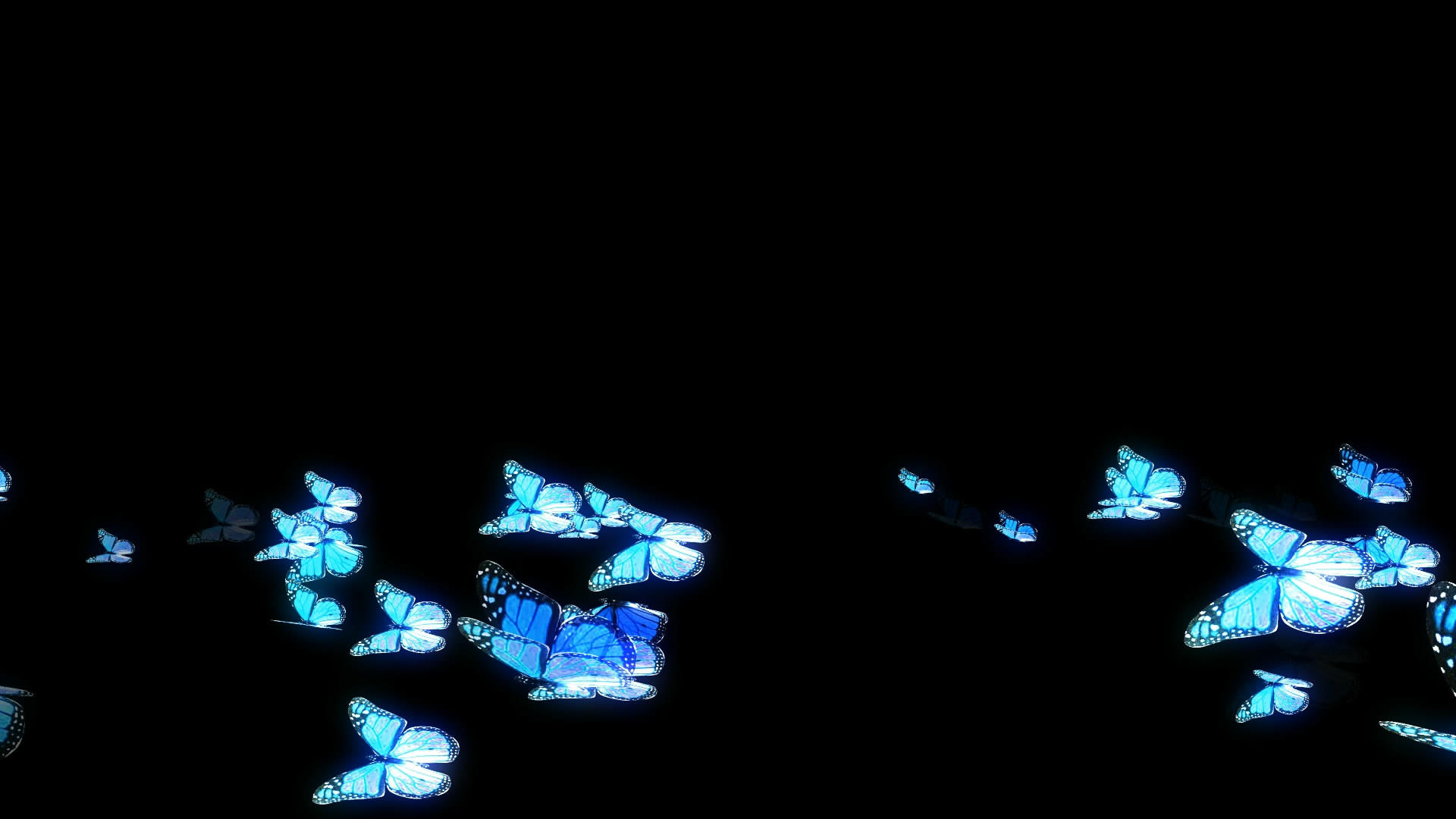 透明通道蓝色蝴蝶飞舞素材视频的预览图
